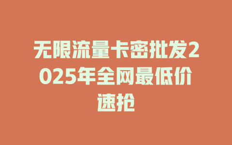 无限流量卡密批发2025年全网最低价速抢