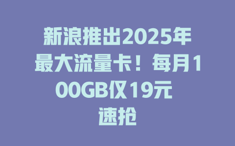 新浪推出2025年最大流量卡！每月100GB仅19元 速抢