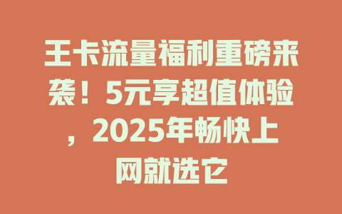 王卡流量福利重磅来袭！5元享超值体验，2025年畅快上网就选它
