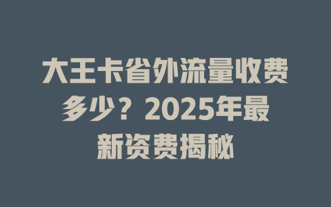 大王卡省外流量收费多少？2025年最新资费揭秘