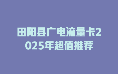 田阳县广电流量卡2025年超值推荐