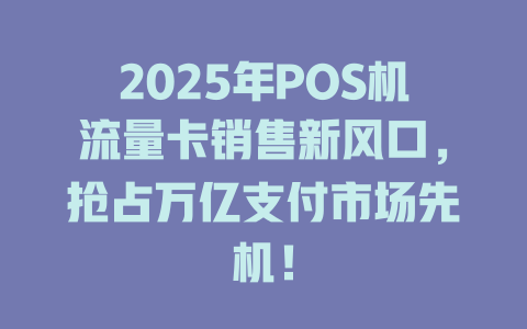 2025年POS机流量卡销售新风口，抢占万亿支付市场先机！