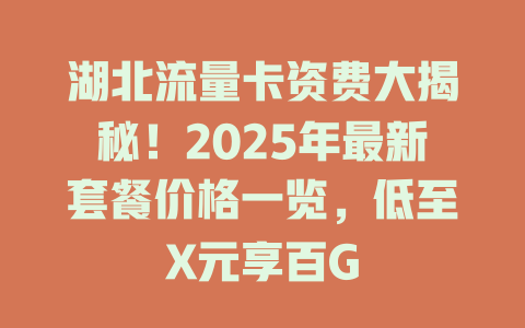 湖北流量卡资费大揭秘！2025年最新套餐价格一览，低至X元享百G