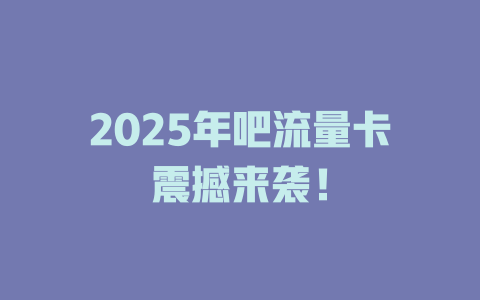 2025年吧流量卡震撼来袭！