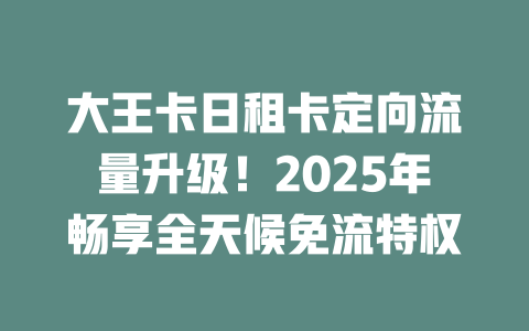 大王卡日租卡定向流量升级！2025年畅享全天候免流特权