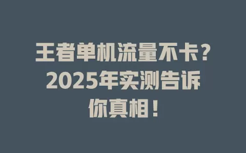 王者单机流量不卡？2025年实测告诉你真相！