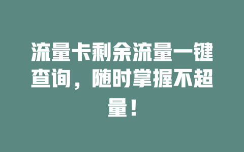 流量卡剩余流量一键查询，随时掌握不超量！