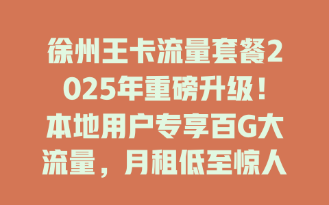 徐州王卡流量套餐2025年重磅升级！本地用户专享百G大流量，月租低至惊人价
