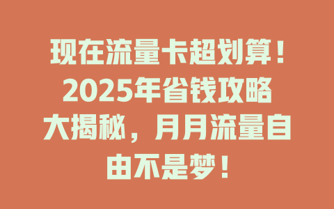 现在流量卡超划算！2025年省钱攻略大揭秘，月月流量自由不是梦！
