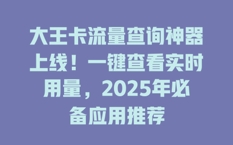 大王卡流量查询神器上线！一键查看实时用量，2025年必备应用推荐