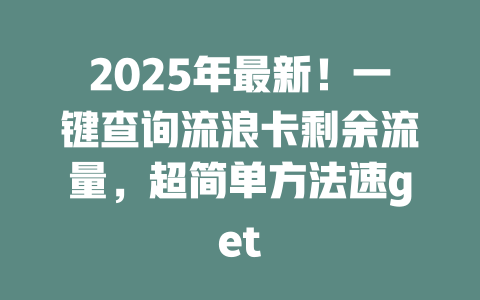 2025年最新！一键查询流浪卡剩余流量，超简单方法速get