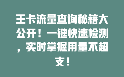王卡流量查询秘籍大公开！一键快速检测，实时掌握用量不超支！