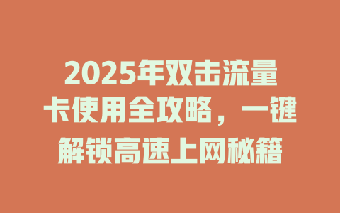 2025年双击流量卡使用全攻略，一键解锁高速上网秘籍