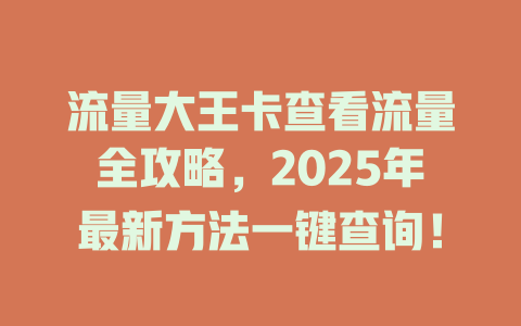 流量大王卡查看流量全攻略，2025年最新方法一键查询！