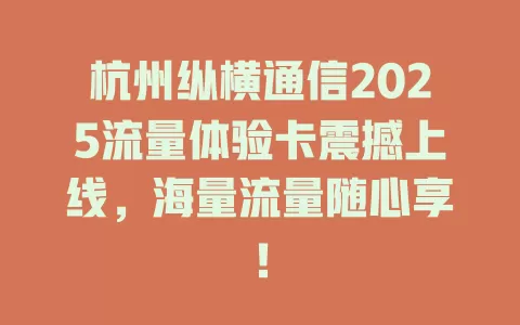 杭州纵横通信2025流量体验卡震撼上线，海量流量随心享！