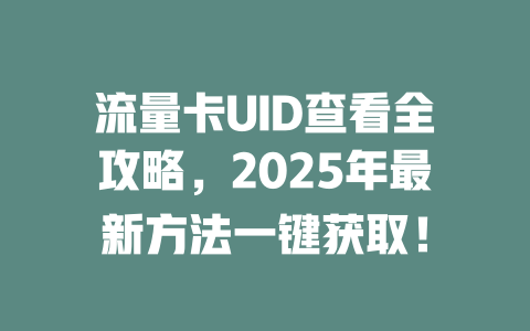 流量卡UID查看全攻略，2025年最新方法一键获取！