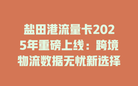 盐田港流量卡2025年重磅上线：跨境物流数据无忧新选择