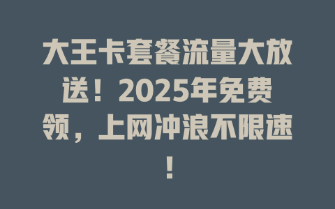 大王卡套餐流量大放送！2025年免费领，上网冲浪不限速！