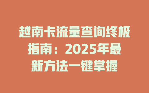 越南卡流量查询终极指南：2025年最新方法一键掌握