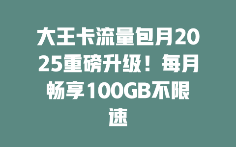 大王卡流量包月2025重磅升级！每月畅享100GB不限速