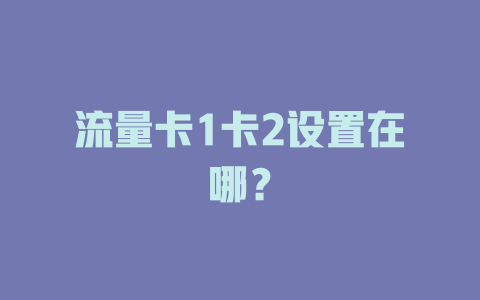 流量卡1卡2设置在哪？