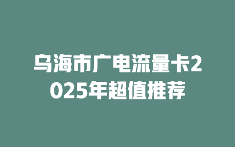乌海市广电流量卡2025年超值推荐