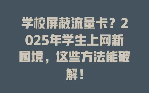 学校屏蔽流量卡？2025年学生上网新困境，这些方法能破解！