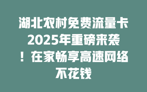 湖北农村免费流量卡2025年重磅来袭！在家畅享高速网络不花钱