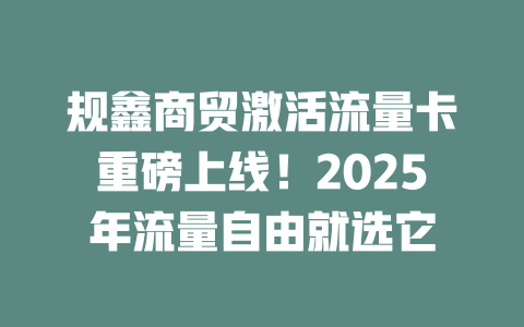 规鑫商贸激活流量卡重磅上线！2025年流量自由就选它