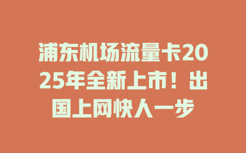 浦东机场流量卡2025年全新上市！出国上网快人一步