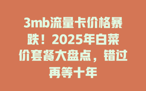 3mb流量卡价格暴跌！2025年白菜价套餐大盘点，错过再等十年