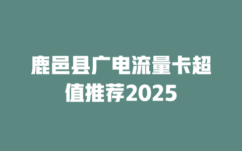 鹿邑县广电流量卡超值推荐2025