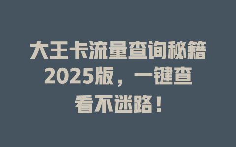 大王卡流量查询秘籍2025版，一键查看不迷路！