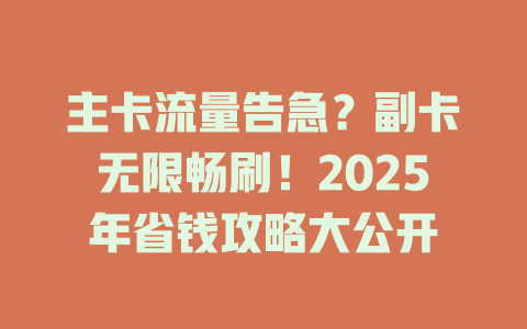 主卡流量告急？副卡无限畅刷！2025年省钱攻略大公开
