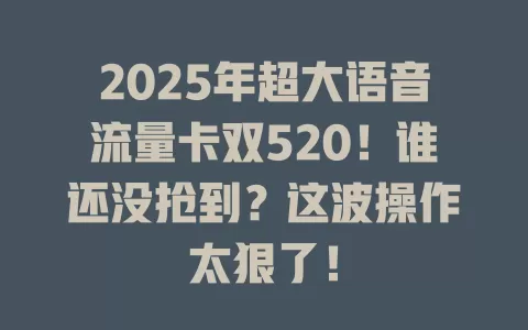 2025年超大语音流量卡双520！谁还没抢到？这波操作太狠了！