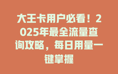大王卡用户必看！2025年最全流量查询攻略，每日用量一键掌握