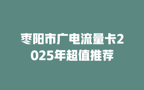 枣阳市广电流量卡2025年超值推荐