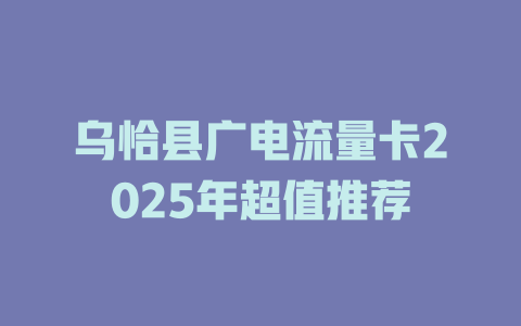乌恰县广电流量卡2025年超值推荐