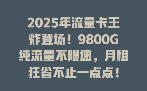 2025年流量卡王炸登场！9800G纯流量不限速，月租狂省不止一点点！