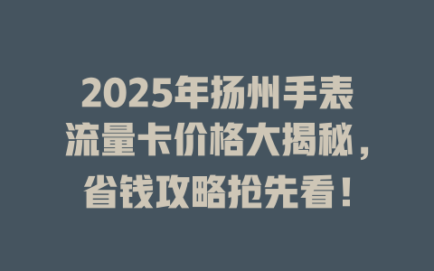 2025年扬州手表流量卡价格大揭秘，省钱攻略抢先看！