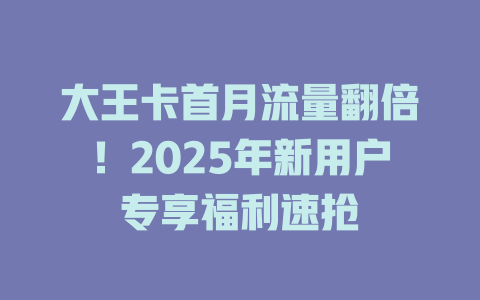 大王卡首月流量翻倍！2025年新用户专享福利速抢