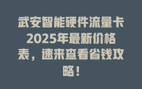 武安智能硬件流量卡2025年最新价格表，速来查看省钱攻略！