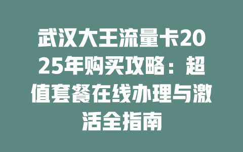 武汉大王流量卡2025年购买攻略：超值套餐在线办理与激活全指南