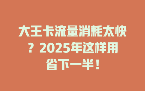 大王卡流量消耗太快？2025年这样用省下一半！