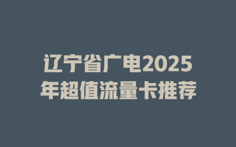 辽宁省广电2025年超值流量卡推荐