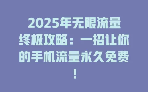 2025年无限流量终极攻略：一招让你的手机流量永久免费！
