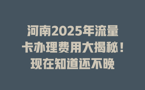 河南2025年流量卡办理费用大揭秘！现在知道还不晚