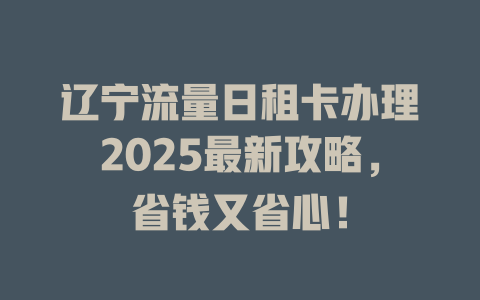 辽宁流量日租卡办理2025最新攻略，省钱又省心！