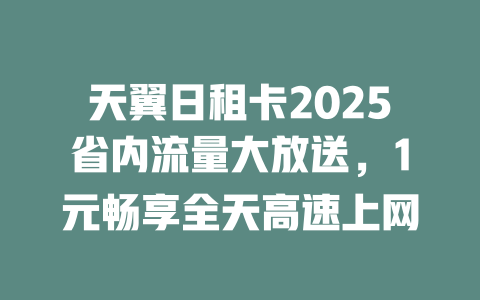 天翼日租卡2025省内流量大放送，1元畅享全天高速上网