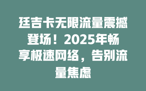 廷吉卡无限流量震撼登场！2025年畅享极速网络，告别流量焦虑